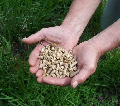 Hands holding waste fiber pellets 