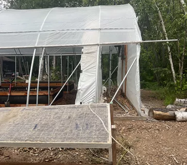 Solar panel near hoophouse