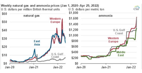Charts of U.S. ammonia prices rise in response to higher international natural gas prices 